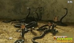 [�����е�]�żҿ�90��С����������������Խ�