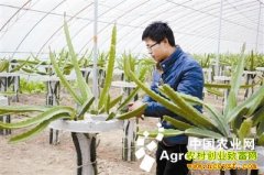 ¦�ǣ������ѧ��ũ�崴ҵ��