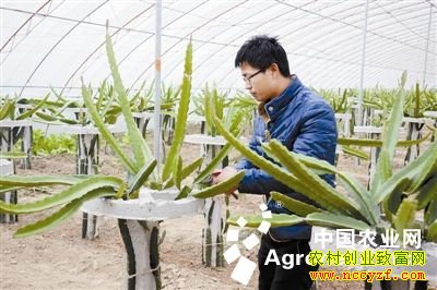 ¦�ǣ������ѧ����ҵ����ͼ��