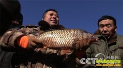 [�¸���]̽Ѱ��ɺ���������ĲƸ�