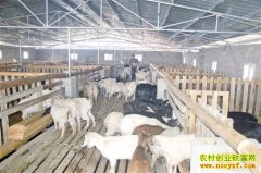 [�Ƽ�Է]�㶫�������������Ϻ�����