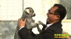 [�¸���]���а���˾ȫ������� ����Ѱ��·