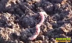 ������ޣ���������� ����������̬�¸�·