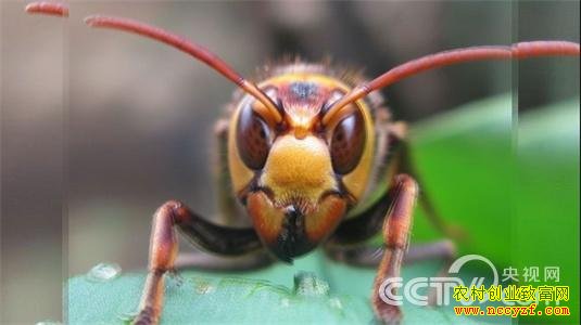 �Ƹ��������ϣ� 4��15�� 21:17