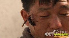 [�¸���]�ƹ���������Ƹ�������(��)