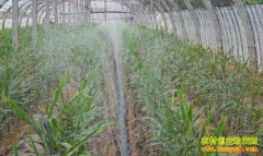 [�Ƽ�Է]�����߲�ʡ��ʡˮ��ʩ�ʷ�