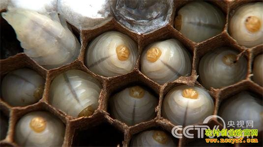 �Ƹ��������£� 4��16�� 21:17