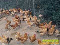 [ũ���������]�������Ƽ���ֳ������Ƶ