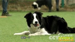 [�¸���]ѱ����������ѱ�����ﹷ����׬Ǯ