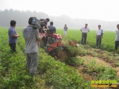 [ũ�����]�������������߲����༼��