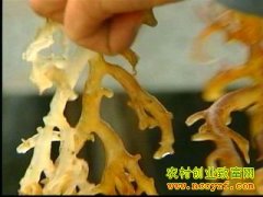 [ÿ��ũ��]һ������ ����˲�һ��