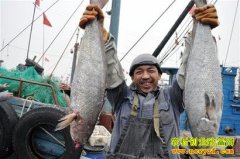 [ÿ��ũ��]�������� �������Ǯ����