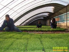 [�Ƽ�Է]����ѿ��˵������ַ�