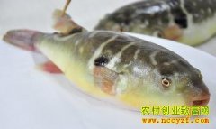 [�����е�]��ѩ��������������7��Ƹ�����Ԫ