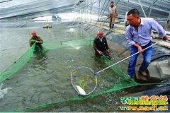 [ÿ��ũ��]����������������ֳ��������