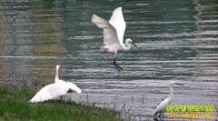 [�����е�]�㶫������������̬��������⾭