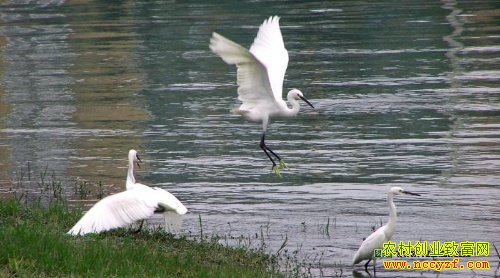 ���ط������