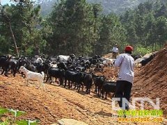 ��ֳ�¸���������ɽ���� ��׬���ٶ���