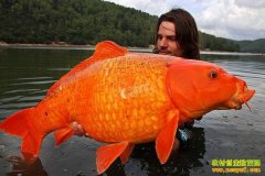 [ũ�����]���ֺ쾵����ֳ����