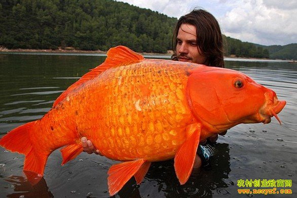 ���ֺ쾵��