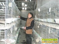 [ÿ��ũ��]�������ĸ��Ӹ�׬Ǯ