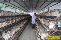 [ũ�����]����153��׼����ֳģʽ��Ƶ