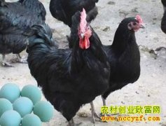 [ũ�����]�����̿ǵ�������ϵ��ֳ������Ƶ