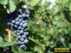 [�Ƽ�Է]60���������й��Լ������������