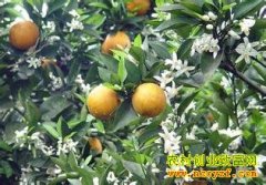 [ÿ��ũ��]����ͬ�����ٳ��봺��ժ����