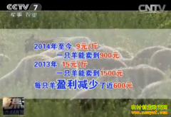 [�۽���ũ]����һ����򼾣���ϲ�û��ǵ���