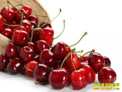 [�۽���ũ]����ӣ�ҡ��������������ר�ҳƷ��ĳ�