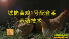 [ũ�����]��ڻƼ�1������ϵ��ֳ������Ƶ