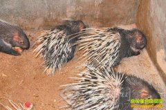 [�����е�]�����̾�ͯѧ�ڵĲƸ�·