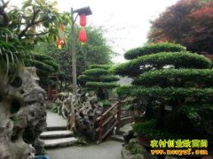 [�����е�]����ɽ���޶���Ļ��ũ����ɽ��