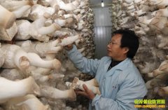 [ÿ��ũ��]�����ġ������ӡ��ӱ���1���׬19��Ԫ