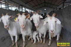 [ũ�����]���ݰ�ɽ����ֳ������Ƶ