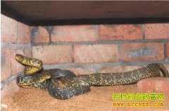 [�Ƽ�Է]�ڱ���ѧ���ߣ����ʹ�������Ƶ