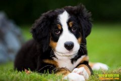 [�����е�]����������ҵ�Ĺ������ֽ���