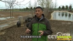 [�¸���]���ܰɺ���:���հ����������������¸���