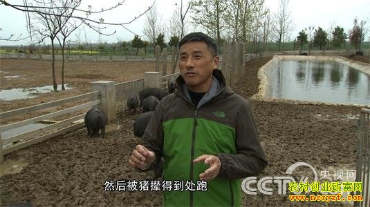 ���հ��������������ܰ� ����