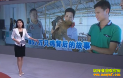 [�۽���ũ]857��ֻ������Ĺ���