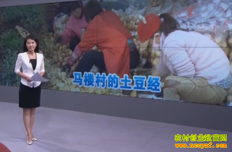 ��¥���������