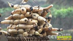 [�¸���]���ո����������λ��̱��ĲƸ�����