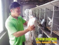 [�����е�]�����ھ����������׬Ǯ̡��