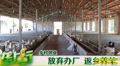 ��ֳ��Ŀ�������쳧 ��������