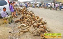 [�۽���ũ]�°ؼ۸���� ���βƸ���