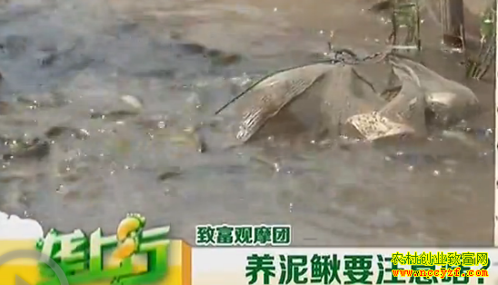 ̨��������ֳ