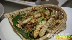 [�¸���]��˫���������ƳԳ��ӳԳ����ĲƸ�