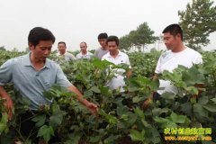 [�۽���ũ]�޻���ֲ��������ѡ��