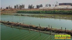 [�����е�]�����˳ɹ���ʧ�ܿ�ʼ��������ֳ��ҵ��